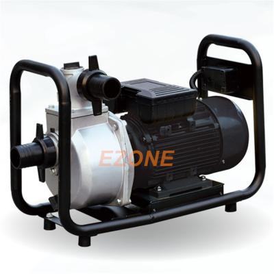 Cina EWP-15 1.5kW 2HP Family Homes Machinery Motors Electric Water Pump for Agriculture Irrigation in vendita