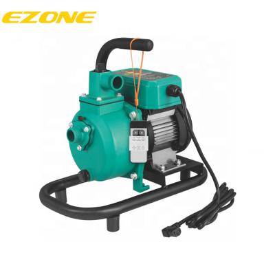 Cina Other 1 Inch Water Pump Agriculture Motor Pump 220v Electric Pump in vendita