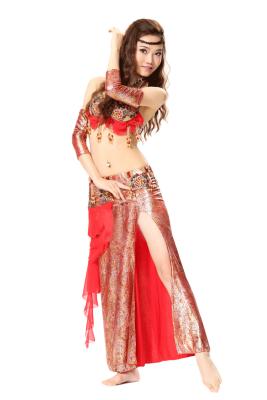 China Embroidered flower belly dance troupe costumes with print spandex fabric for sale