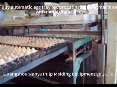 Pulp Molding Reciprocating Machines for Making Industrial Package