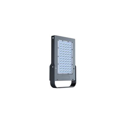 China Sports Stadiums High Luminous Efficacy 100W 200W 300W 400W Anti - Corrosion Flood Light for sale