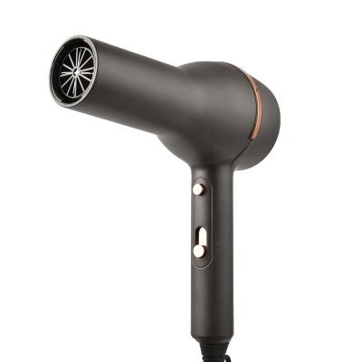 China Newly Designed Portable Foldable Professional Salon Hairdressing Air Strong Hair Dryer for sale