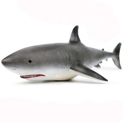 China Marine Species Aquatic Creatures Fish Model Toys Animal Model Figure Shark Toy Customized Size for sale