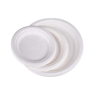 China Biodegradable Plastic Tray Plate Cornstarch PLA Environmental Corn Starch for sale