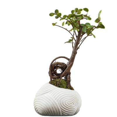 China Levitating Tree ABS Air Bonsai Plant Magnetic Levitating Ceramic Floating Flower Pots for sale