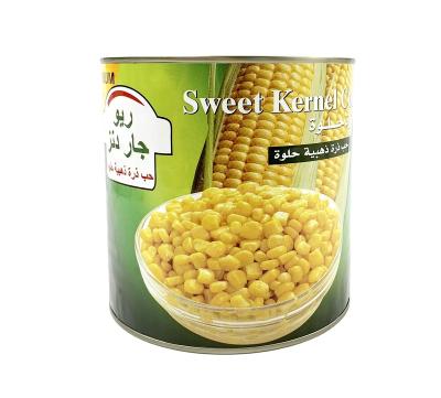 China A9 A10 3000g Canned Sweet Corn Canned Vacuum Packed Canned Corn for sale