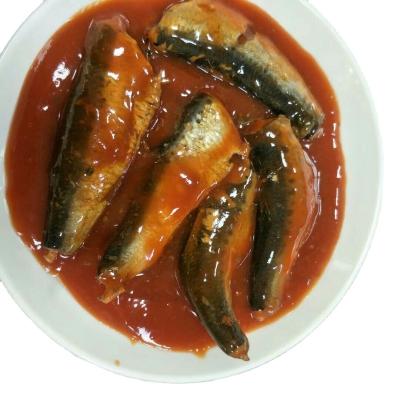 China Canned Wholesale Price Canned Sardines Fish In Tomato Sauce In Oil 125g 155g for sale