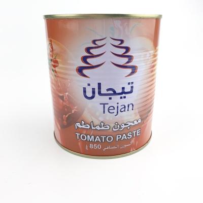 China Premium Quality Concentrated Canned Tomato Sauce Sachet 28-30% Brix Customized OEM Brand LX-PP for sale