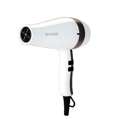 China Lenrood LR-3660 Factory Price 950W Motor Home Use Salon Use Salon Hair Dryer Ergonomic High Speed ​​Hairdressing Tools Professional Hair Dryer for sale