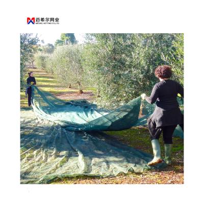 China 3~10 Years DT-BN HDPE Olive Net Use Harvest Net 50gsm Agricultural Olive Net 100% Virgin Material Dark Green for sale