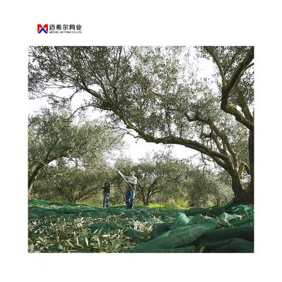 China 3~10 Years Agricultural PE Olive Net For Collection Olive for sale