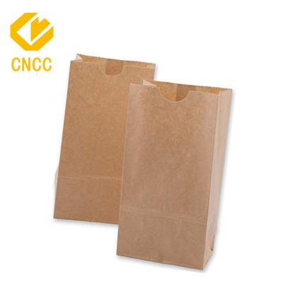 China eco-firendly materials paper craft handbag food cake EU standard recycled shopping paper shopping bag for sale