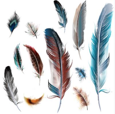 China Beautiful Colorful Decorative Sticker Feather Car Stickers Decal Vinyl for sale