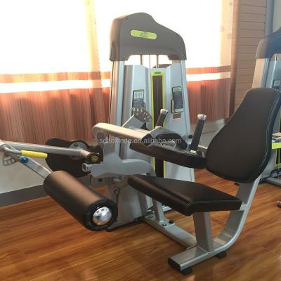 China Shandong Eco-friendly Factory Wholesale Seated Leg Curl Machine Gym Equipment for sale