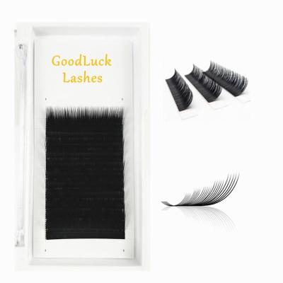 China Comfort Soft Loop During Silk Eyelash Extension Individual PBT Fiber Lashes Extension Korean Eyelash Extension for sale