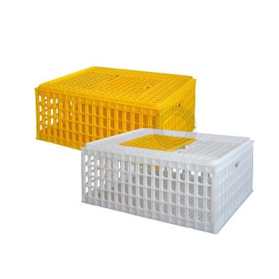 China Farms Wholesales Plastic Chicken Transport Cage Poultry Equipment for sale