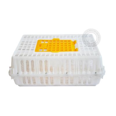 China Plastic Poultry Field Chicken Transport Cage Poultry Equipment for sale