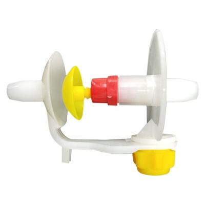 China Automatic Poultry Drinker Water Bird Water Pigeon Drinker For Poultry Equipment for sale