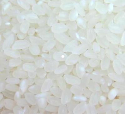 China OEM Fresh Pack Short Grain Rice / Hard White Rice The 5 Bulk Broken for sale