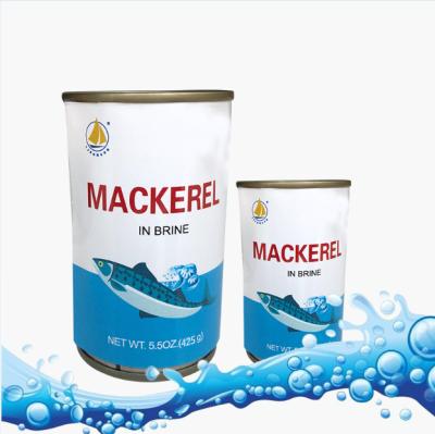 China Canned Tomato Sauce Fish Foods Canned Seafood Fish Sardine Mackerel Fish In Tomato Oil Brine for sale