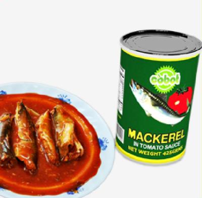 China Tinned halal tuna canned with tomato for sale