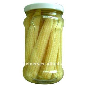 China Canned Baby Corn / Tinned Baby Corn for sale