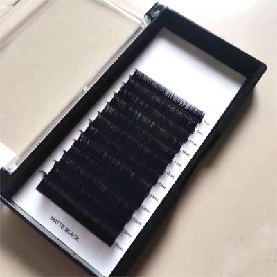 China Natural Single Long Eye Lashes Russian Eyelash Extensions Quality Color Blooming Lashes for sale