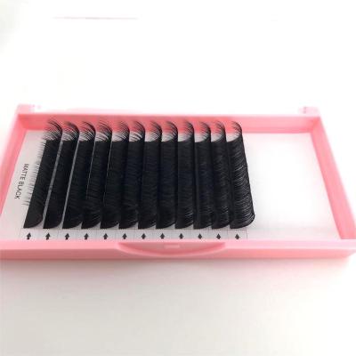 China Russian Mink Eyelash Extensions Lash Extensions C D CC Long Volume Lash Extension Trays Natural Individual Curl Dual Density for sale