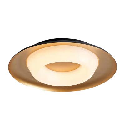 China Modern Outdoor Mounted Donut Circle Shape Bedroom Living Room Outdoor Mounted Home Lighting Round Graphite Ceiling Lamp for sale