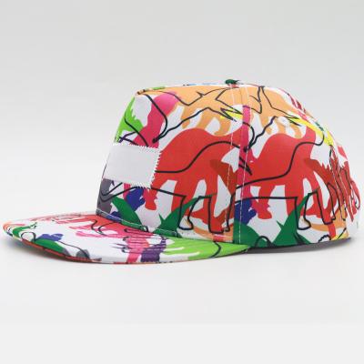 China COMMON contrast pattern embroidery hip hop sunshade hat flat tide snapback hat for sale