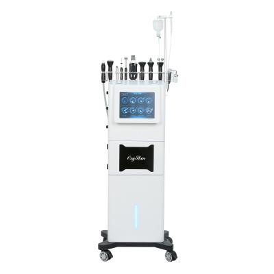 China OEM Sincoheren Factory Price Hydrabeauty Salon Spa Face Exfoliators Deep Cleansing 12 in 1 Oxygen Jet Aqua Skin Microdermabrasion Device for sale