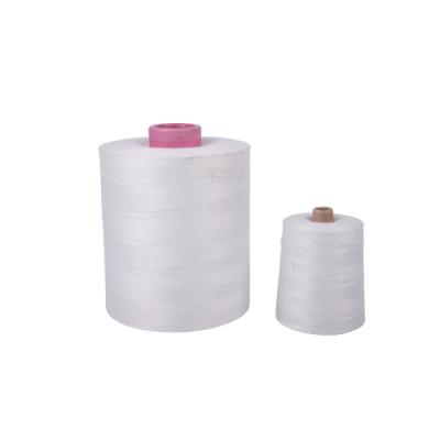 China 100% Polyester Chemical Resistance 40/2 Polyester Spun Sewing Thread for sale