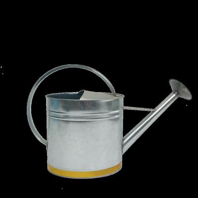 China High Quality Bright Metal Color Nature Galvanized Cheap Metal Sprinkling Can for sale