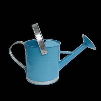 China Metal Craft Vintage Metal Gardening Watering Can With Movable Handle for sale