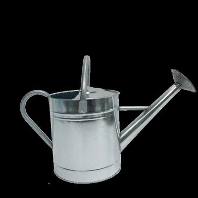 China Metal Garden Decor Cheap Galvanized Metal Watering Can for sale