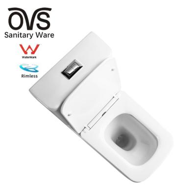 China Watermark Tank OVS Watermark Australia WC Slow Down Seat Cover 2 Pcs Bathroom Toilet Concealed Sanitary Toilet Bowl for sale