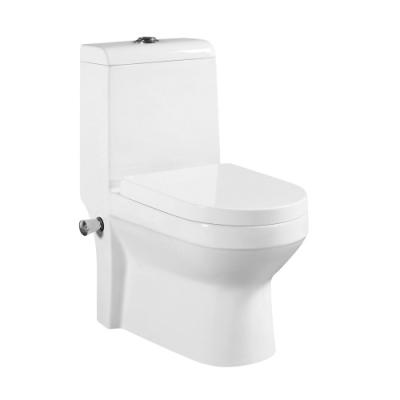 China Double-Flow Ceramic Vagina Toilet One Piece Bidet, Toilet with Built-in Bidet for sale