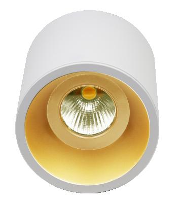 China Modern Shenzhen factory aluminum 20w cob down light IP65 led downlight surface mounted downlight for sale