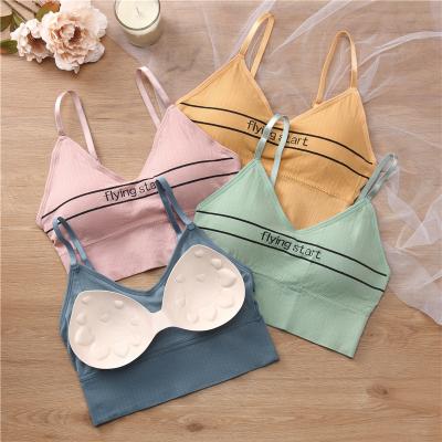 China Sporty Set Panties Custom Logo Mesh Plus Size Bra Set Women Creams Bra Set Underwear And Radio for sale