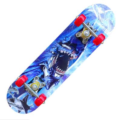 China Primary complete kid skate skateboard for kids, 2406 aluminum alloy bracket, double deformed, maple skateboard for sale