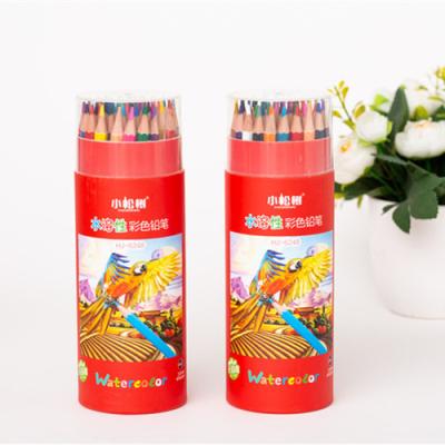 China Water Soluble Paint 48 Colors Drawing Pencil Set For Artist Painting Custom Colored Wooden Lead Pencil - Water Soluble Colored Pencil Set for sale