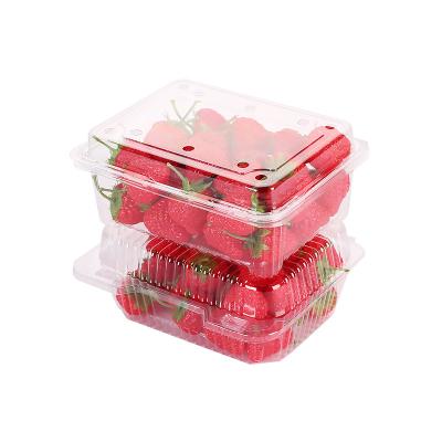 China Biodegradable Clear Disposable Fruit Vegetable Salad Pet Fresh Cut Plastic Containers With Lids for sale