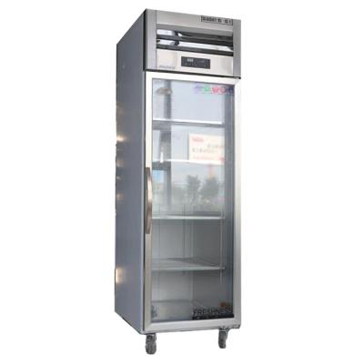 China Single-Temperature Upright Fish Flower Ice Cream Display Freezer for sale