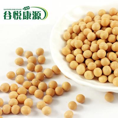 China Northeast China Dried Premium Soybeans for sale