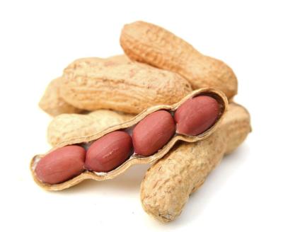 China High Quality Dry Peanuts and Peanuts from China for Sale at Low Prices for sale