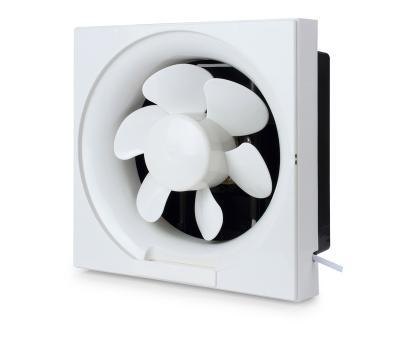 China Luxury 10 Inch Canopy Fan China Fan Electric Fan Fan Price for sale