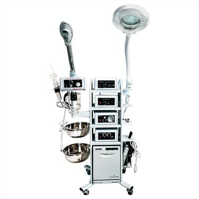 China Face slimming newest multifunctional 10 in 1 beauty salon facial machine for sale