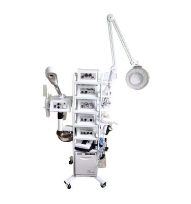 China Stainless steel 11 in 1 beauty function equipment for sale