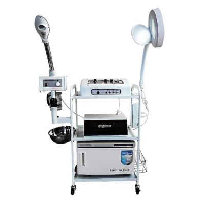 China Hot Selling Stainless Steel Beauty 9 In 1 Function Facial Machine Equipment New Arrival for sale