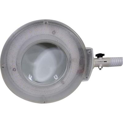 China High Quality Professional Beauty Skin Care Led Magnifying Lamp for sale